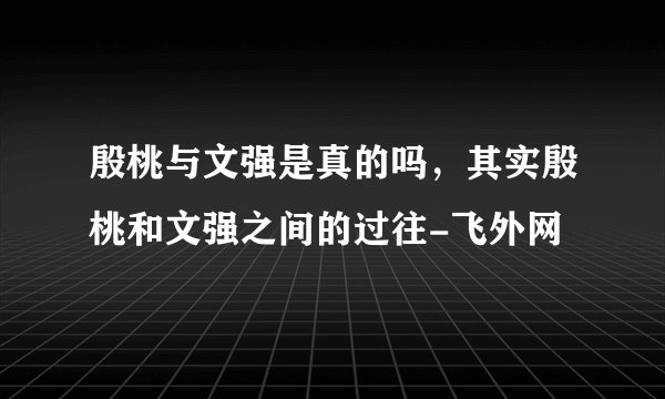 殷桃与文强是真的吗,其实殷桃和文强之间的过往-飞外网