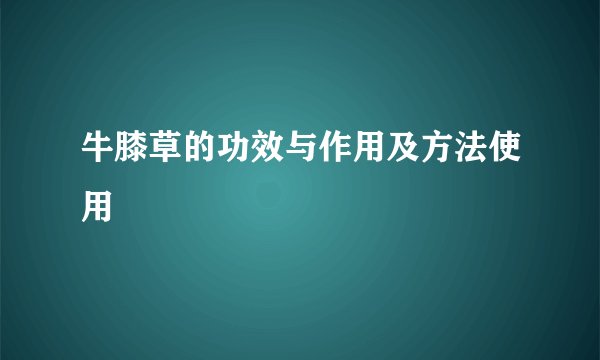 牛膝草的功效与作用及方法使用