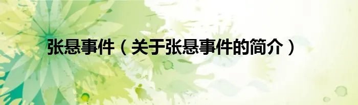 张悬事件（关于张悬事件的简介）
