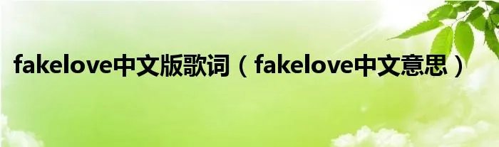 fakelove中文版歌词（fakelove中文意思）
