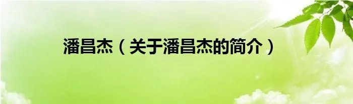 潘昌杰（关于潘昌杰的简介）