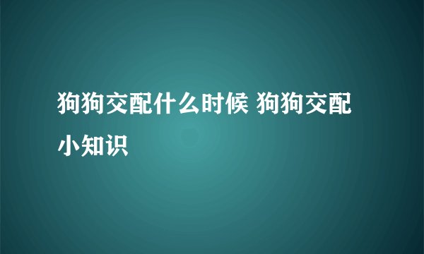 狗狗交配什么时候 狗狗交配小知识