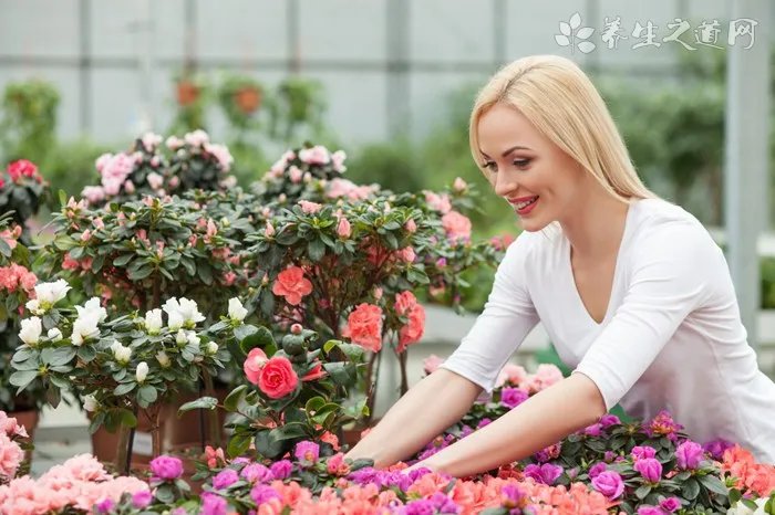 鬼节晚上见鬼怎么办 鬼门开有什么禁忌吗