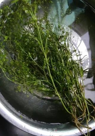 地菜煮鸡蛋