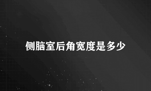 侧脑室后角宽度是多少