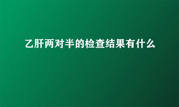 乙肝两对半的检查结果有什么