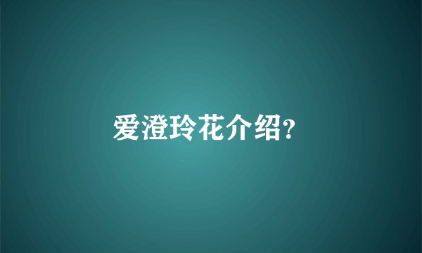 爱澄玲花介绍？