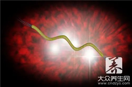 关于多粘菌素e,你知道多少?