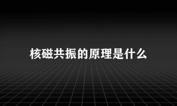 核磁共振的原理是什么