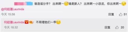 何超莲回应分手传闻 豪门真的没有爱情吗