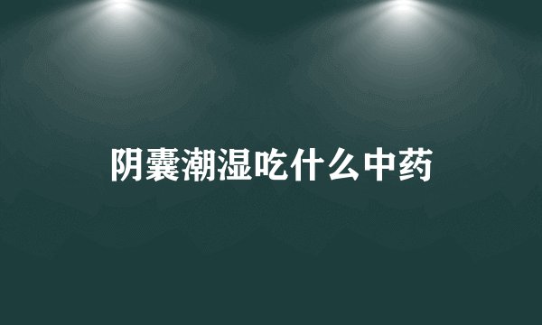 阴囊潮湿吃什么中药