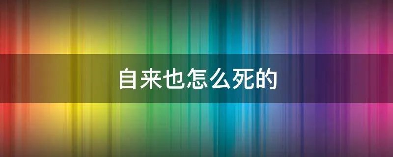 自来也怎么死的