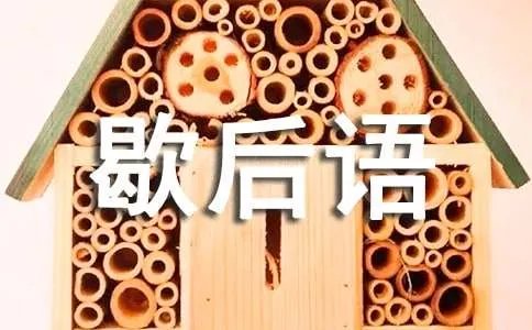 锦上添花歇后语
