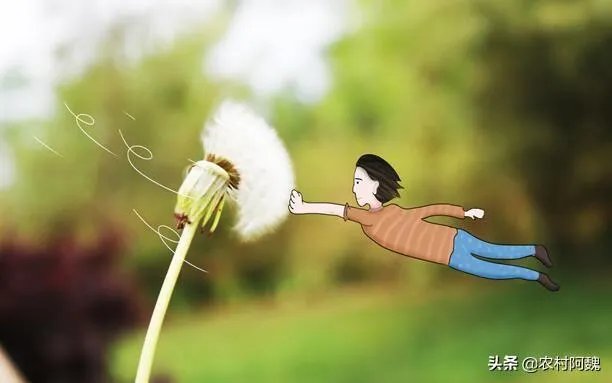 北京的大风是由什么原因造成的?