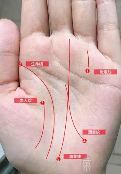 手相:手纹乱代表什么,手纹乱的人命运不好吗