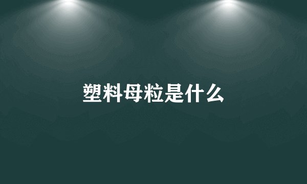 塑料母粒是什么