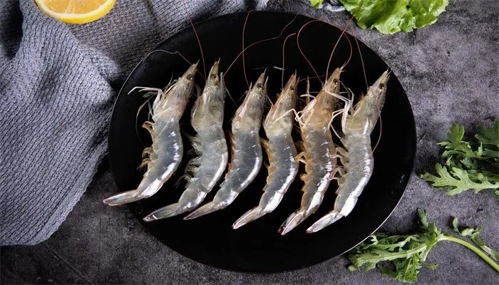 虾类靠什么呼吸 虾类呼吸靠什么