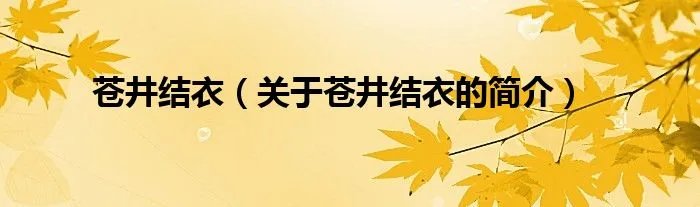 苍井结衣（关于苍井结衣的简介）