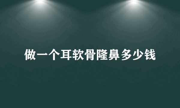 做一个耳软骨隆鼻多少钱