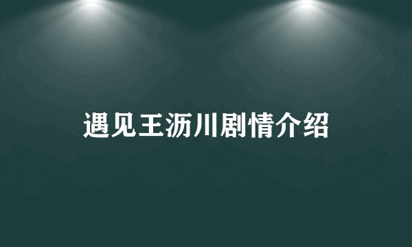 遇见王沥川剧情介绍