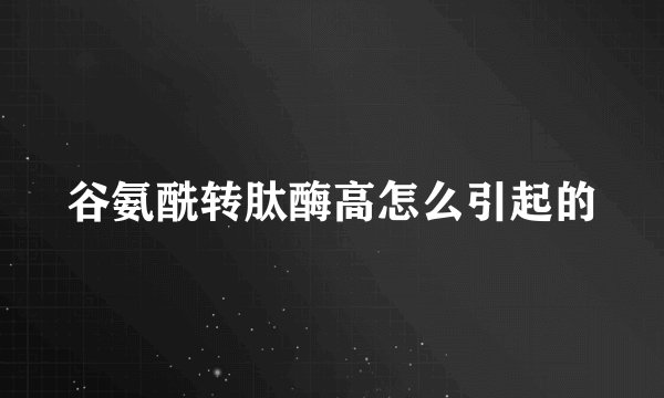 谷氨酰转肽酶高怎么引起的