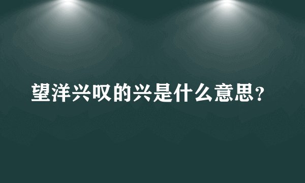 望洋兴叹的兴是什么意思？