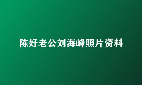 陈好老公刘海峰照片资料