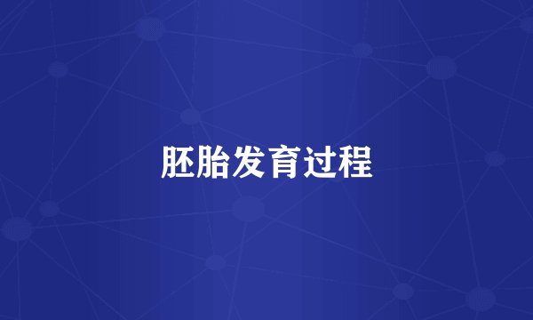 胚胎发育过程