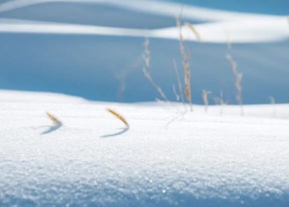 雪是怎么形成的