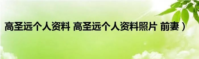 高圣远个人资料 高圣远个人资料照片 前妻）