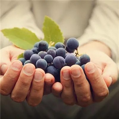 手气有什么症状