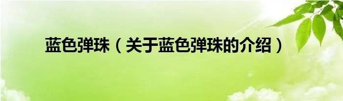 蓝色弹珠（关于蓝色弹珠的介绍）