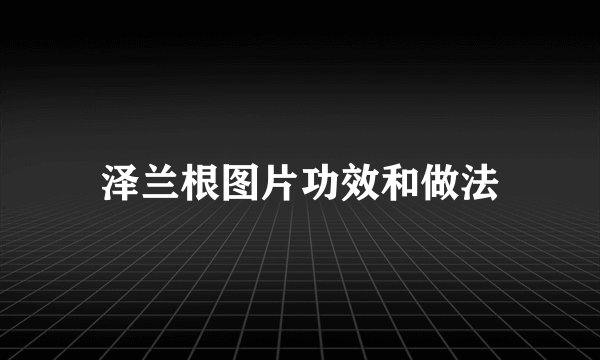 泽兰根图片功效和做法