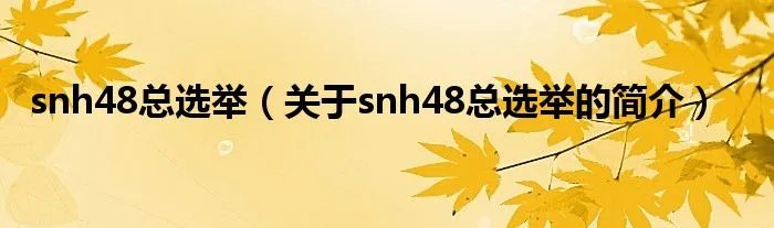 snh48总选举(关于snh48总选举的简介)