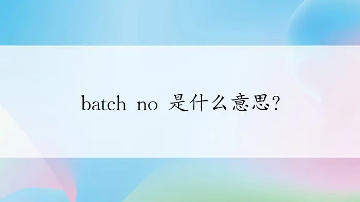 batch no 是什么意思？