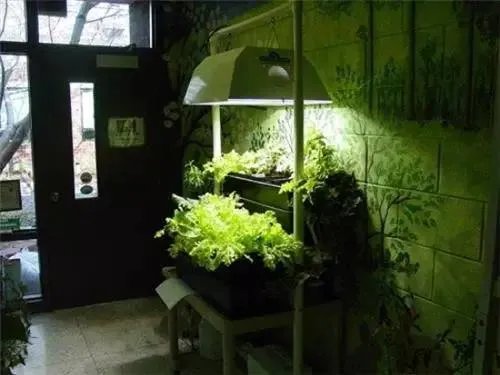 20款入户花园装修效果图，推门即见的风景