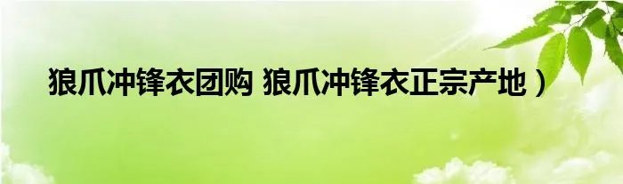 狼爪冲锋衣团购 狼爪冲锋衣正宗产地）