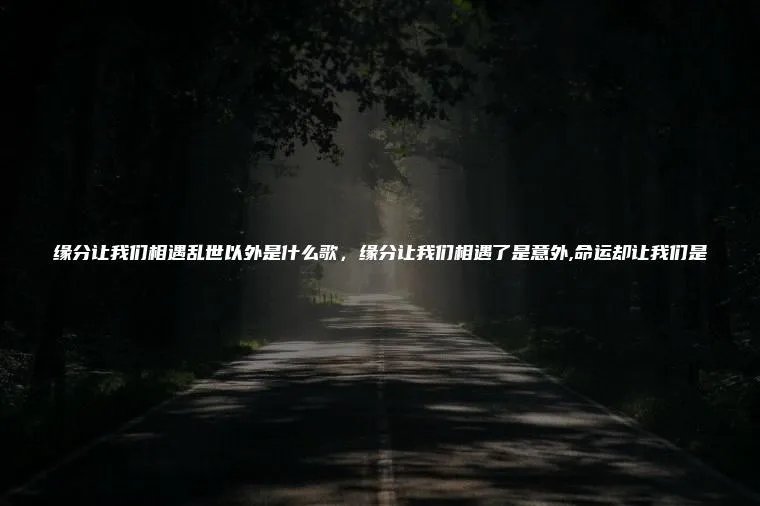 缘分让我们相遇乱世以外是什么歌,缘分让我们相遇了是意外,命运却让我们是