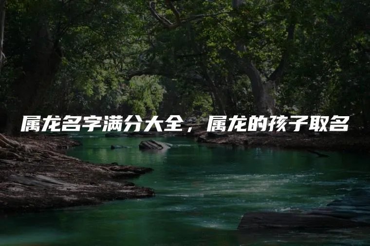 属龙名字满分大全，属龙的孩子取名