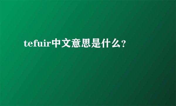 tefuir中文意思是什么？