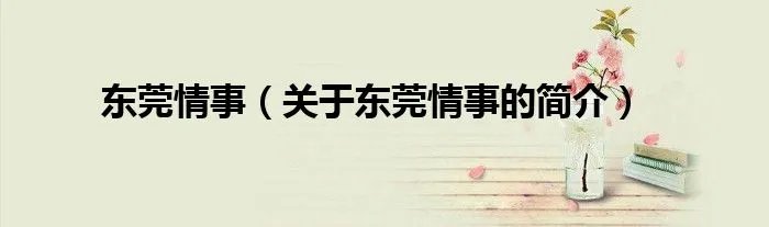 东莞情事（关于东莞情事的简介）