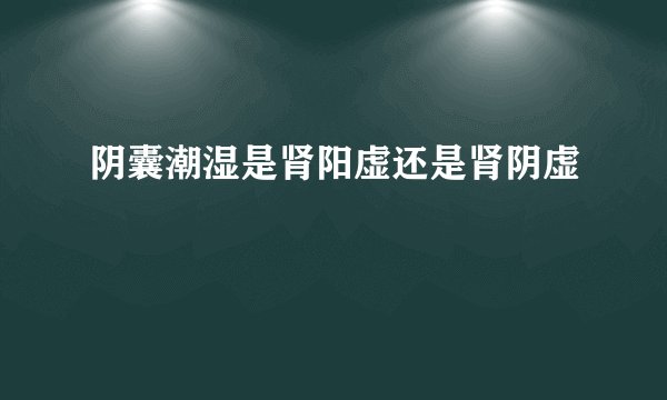 阴囊潮湿是肾阳虚还是肾阴虚