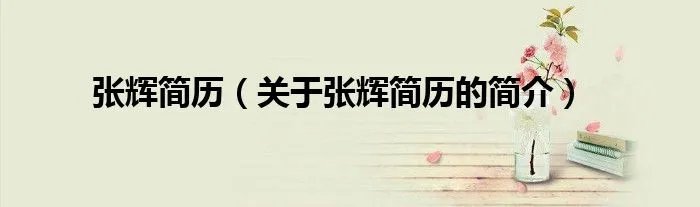 张辉简历（关于张辉简历的简介）