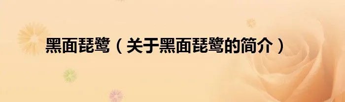 黑面琵鹭（关于黑面琵鹭的简介）
