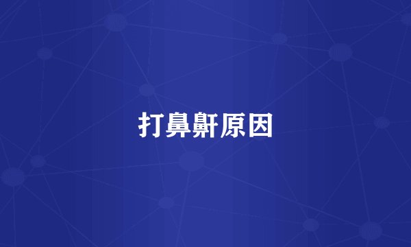 打鼻鼾原因