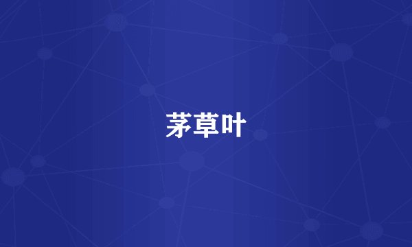 茅草叶