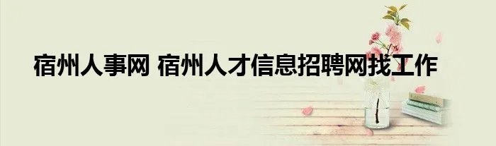宿州人事网 宿州人才信息招聘网找工作
