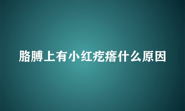胳膊上有小红疙瘩什么原因