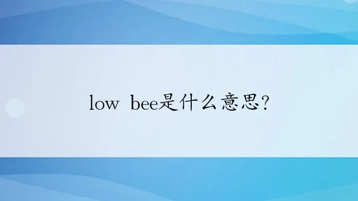 low bee是什么意思?