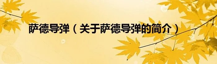 萨德导弹（关于萨德导弹的简介）
